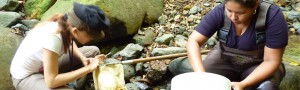 banner-cozem-1