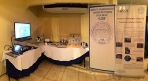 feriadavid2