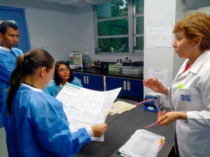 Auditoría en sitio por la Oficina Guatemalteca de Acreditación