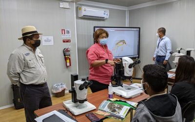 El Centro de Investigación de Enfermedades Emergentes y Zoonóticas (CIEEZ –Divisa) del  Instituto Gorgas, realiza la Primera capacitación práctica “Demostraciones sobre Vigilancia Entomológica en Panamá”.