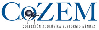 logo cozem