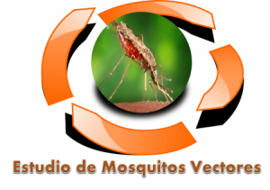 logo vectores mosquitos
