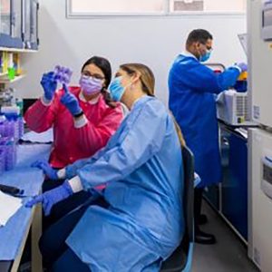 Virología y Biotecnología