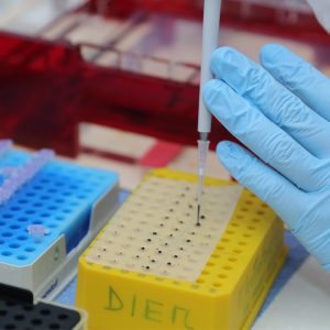 Banner- Referencia-Carrucel3