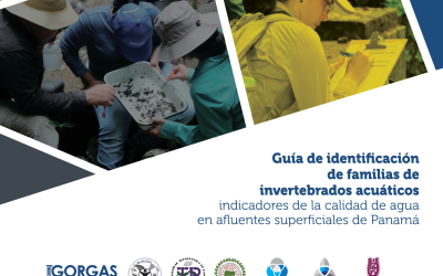 Guía de identificación de invertebrados acuáticos indicadores de la calidad del agua en afluentes superficiales de Panamá