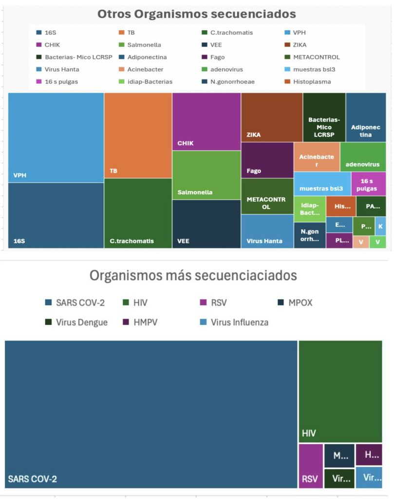 Red de Resistencia a antirretrovirales de VIH​